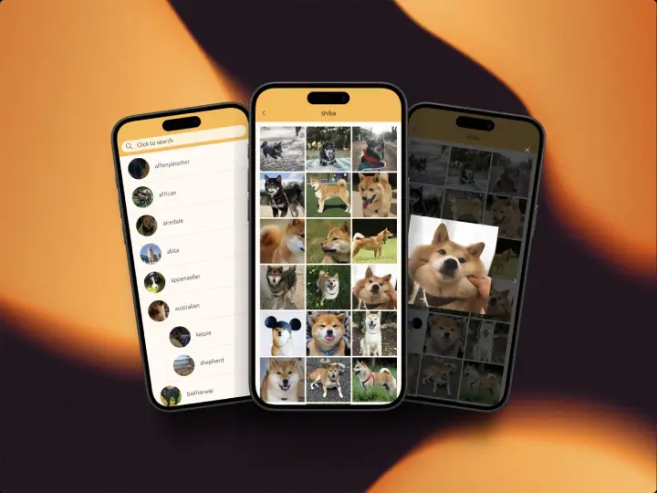 Pet Lover Homepage